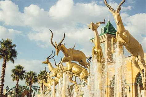 city of gold south africa|A First Timers Guide to The City of Gold – Johannesburg.